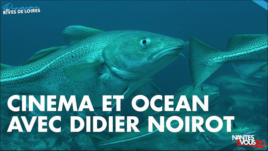 TV Locale Loire-Atlantique - Didier Noirot un passionné d'images sous-marines